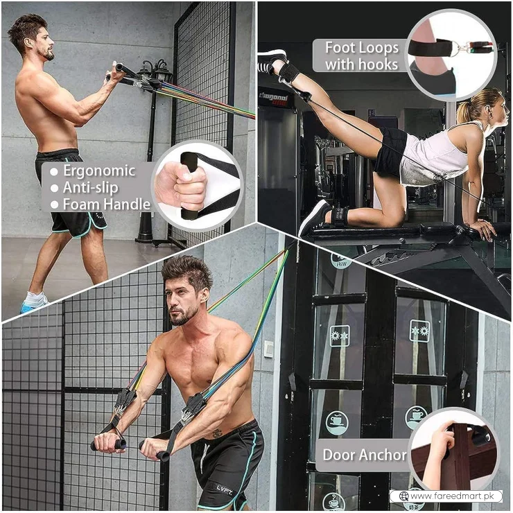 Gym Belt with Box | 5-in-1 Power Exercise Resistance Band Set | Adjustable Fitness Equipment for All